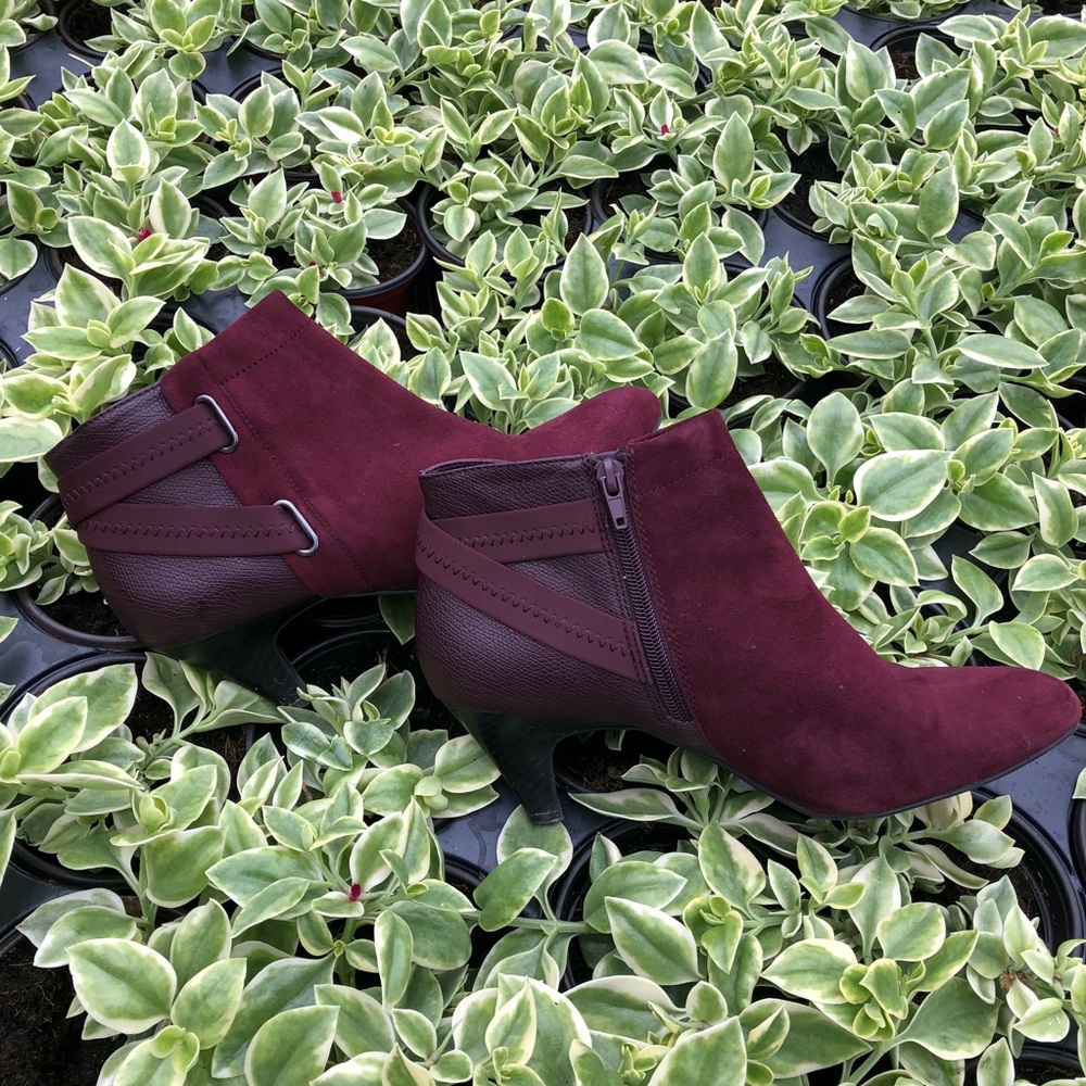 Alfani step n flex burgundy booties